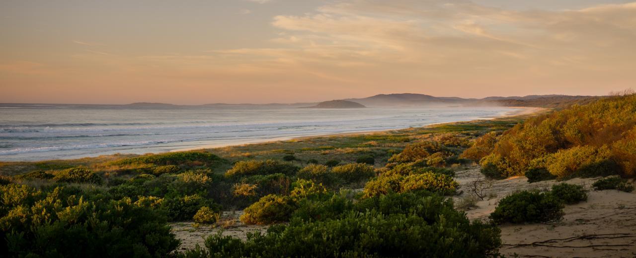 Wairo Beach Holiday Park Tabourie Lake Extérieur photo